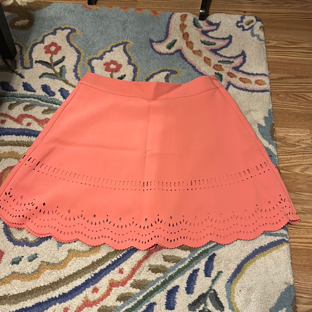 Anne Taylor Loft skirt